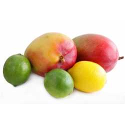 Mango + citrus - antialergický 10ml