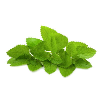 Medovková silica 10 ml