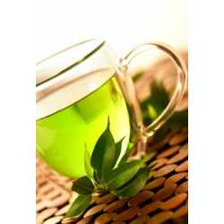 Extrakt zo zeleného čaju 12ml