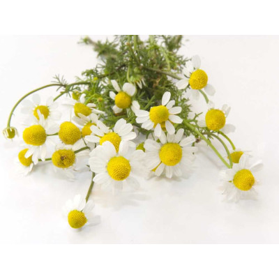 Rumanček - antialergický - parfumová kompozícia 10ml