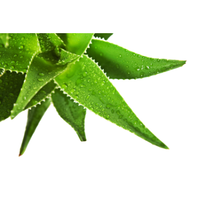 Aloe - antialergický 10ml