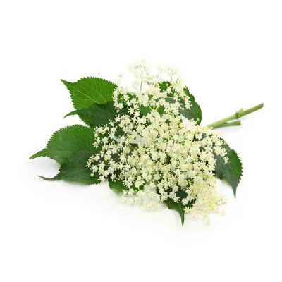 Baza čierna - antialergický - parfumová kompozícia 35ml