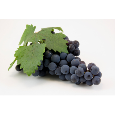 Čierne hrozno - antialergický 10ml