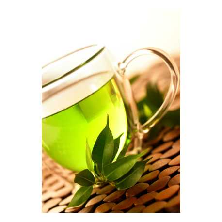 Extrakt zo zeleného čaju 12ml