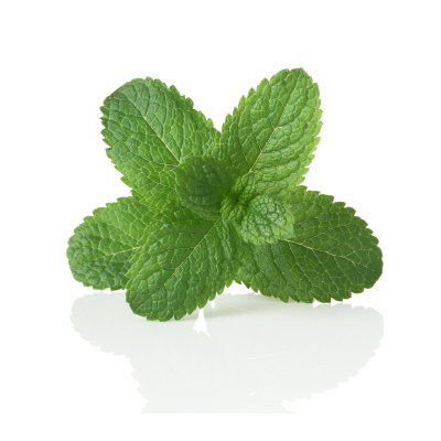 Mäta pieporná silica 10 ml