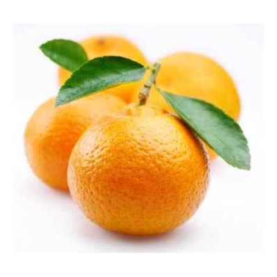 Sada silíc - 3x10ml 