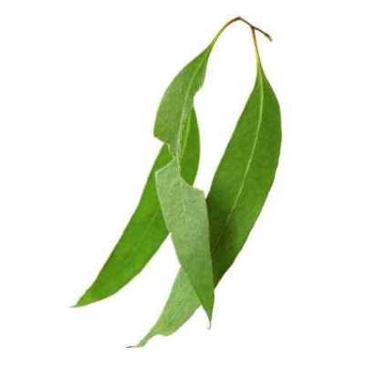 Sada silíc - 3x10ml 