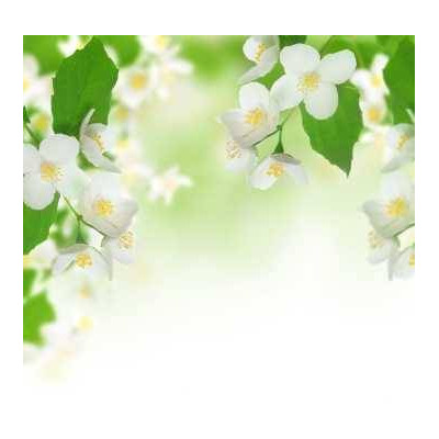 Sada parfumových kompozícií KVETINOVÁ I. - 3x10ml