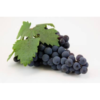 Sada parfumových kompozícií KVETINOVÁ I. - 3x10ml