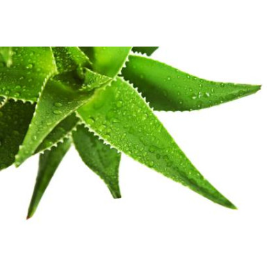 Sada parfumových kompozícií KVETINOVÁ I. - 3x10ml